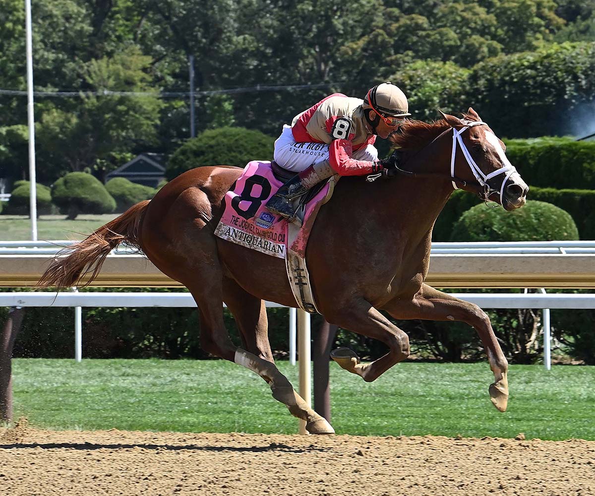 Antiquarian (Preservationist - Lifetime Memory, by Istan), the 2022 Preservationist LLC Thoroughbred racing partnership through Centennial Farms, winner of the G1 Jockey Club Gold Cup at Saratoga, a Win And You're In Race for the Breeders' Cup Classic.