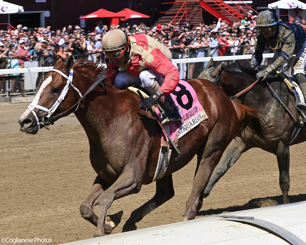 Antiquarian (Preservationist - Lifetime Memory, by Istan), the 2022 Preservationist LLC Thoroughbred racing partnership through Centennial Farms, winner of the G1 Jockey Club Gold Cup at Saratoga, a Win And You're In Race for the Breeders' Cup Classic.