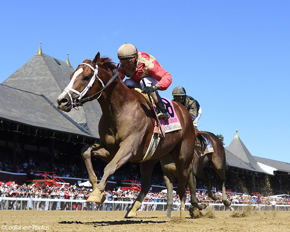 Antiquarian (Preservationist - Lifetime Memory, by Istan), the 2022 Preservationist LLC Thoroughbred racing partnership through Centennial Farms, winner of the G1 Jockey Club Gold Cup at Saratoga, a Win And You're In Race for the Breeders' Cup Classic.