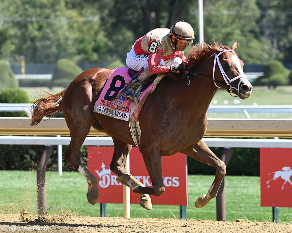 Antiquarian (Preservationist - Lifetime Memory, by Istan), the 2022 Preservationist LLC Thoroughbred racing partnership through Centennial Farms, winner of the G1 Jockey Club Gold Cup at Saratoga, a Win And You're In Race for the Breeders' Cup Classic.