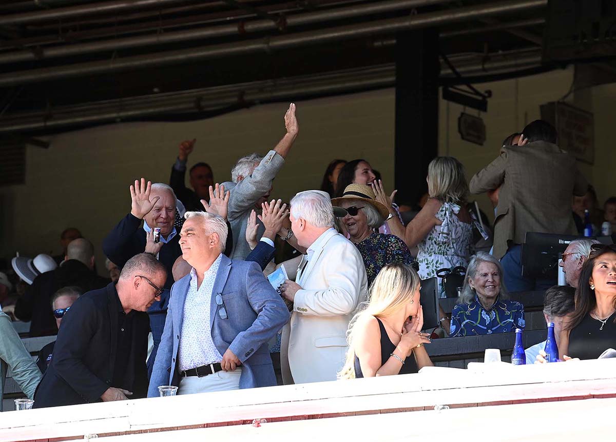 Antiquarian (Preservationist - Lifetime Memory, by Istan), the 2022 Preservationist LLC Thoroughbred racing partnership through Centennial Farms, winner of the G1 Jockey Club Gold Cup at Saratoga, a Win And You're In Race for the Breeders' Cup Classic.