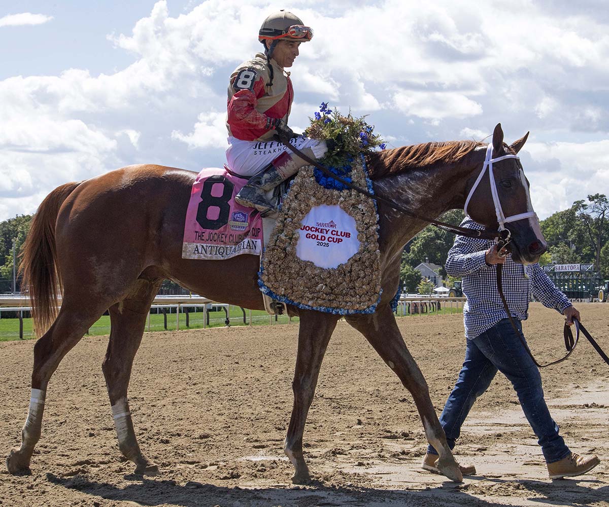 Antiquarian (Preservationist - Lifetime Memory, by Istan), the 2022 Preservationist LLC Thoroughbred racing partnership through Centennial Farms, winner of the G1 Jockey Club Gold Cup at Saratoga, a Win And You're In Race for the Breeders' Cup Classic.