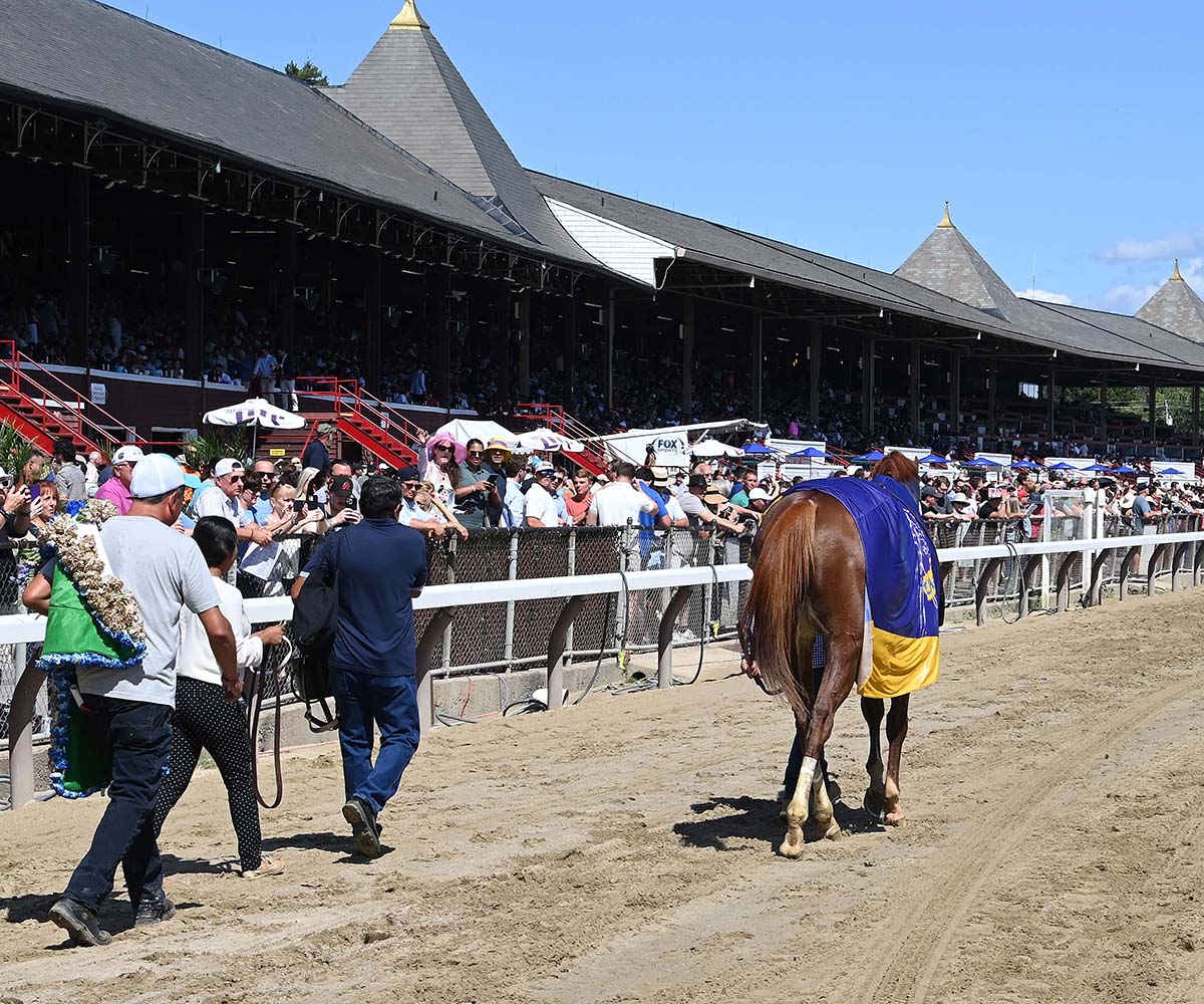 Antiquarian (Preservationist - Lifetime Memory, by Istan), the 2022 Preservationist LLC Thoroughbred racing partnership through Centennial Farms, winner of the G1 Jockey Club Gold Cup at Saratoga, a Win And You're In Race for the Breeders' Cup Classic.