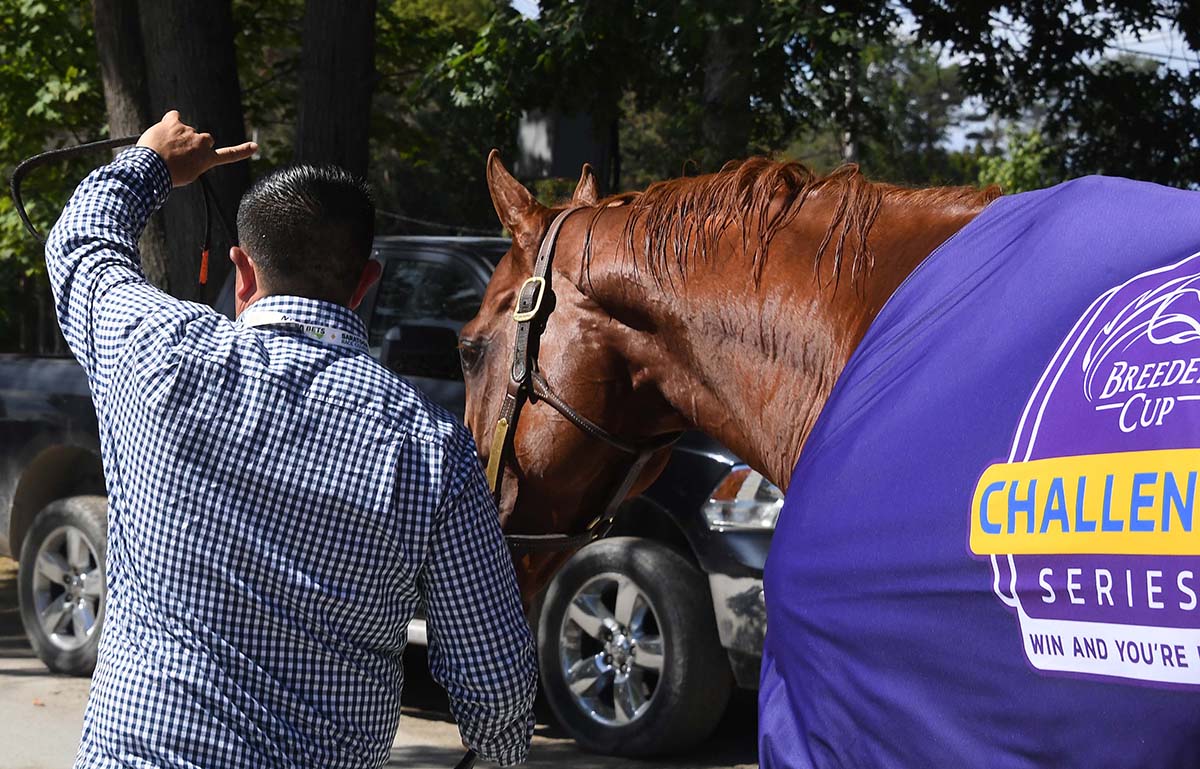 Antiquarian (Preservationist - Lifetime Memory, by Istan), the 2022 Preservationist LLC Thoroughbred racing partnership through Centennial Farms, winner of the G1 Jockey Club Gold Cup at Saratoga, a Win And You're In Race for the Breeders' Cup Classic.