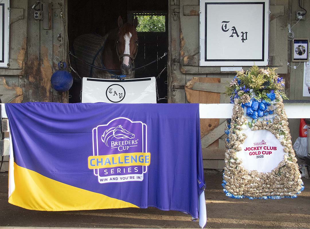Antiquarian (Preservationist - Lifetime Memory, by Istan), the 2022 Preservationist LLC Thoroughbred racing partnership through Centennial Farms, winner of the G1 Jockey Club Gold Cup at Saratoga, a Win And You're In Race for the Breeders' Cup Classic.
