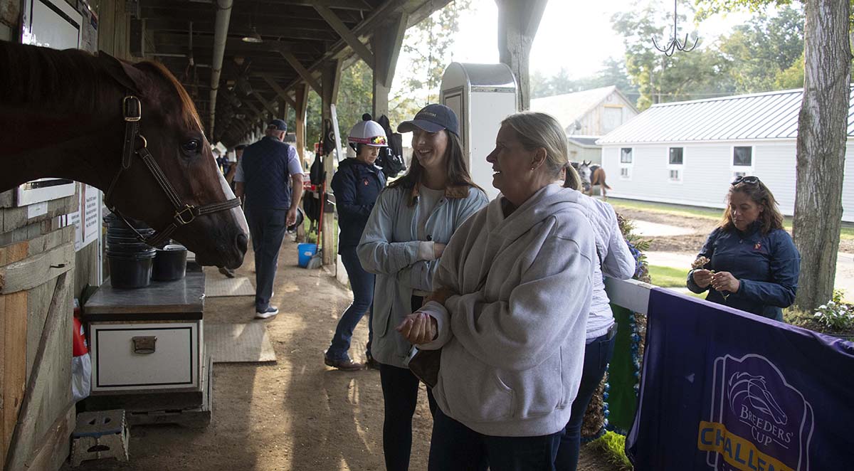 Antiquarian (Preservationist - Lifetime Memory, by Istan), the 2022 Preservationist LLC Thoroughbred racing partnership through Centennial Farms, winner of the G1 Jockey Club Gold Cup at Saratoga, a Win And You're In Race for the Breeders' Cup Classic.