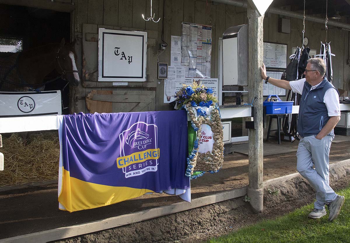 Antiquarian (Preservationist - Lifetime Memory, by Istan), the 2022 Preservationist LLC Thoroughbred racing partnership through Centennial Farms, winner of the G1 Jockey Club Gold Cup at Saratoga, a Win And You're In Race for the Breeders' Cup Classic.