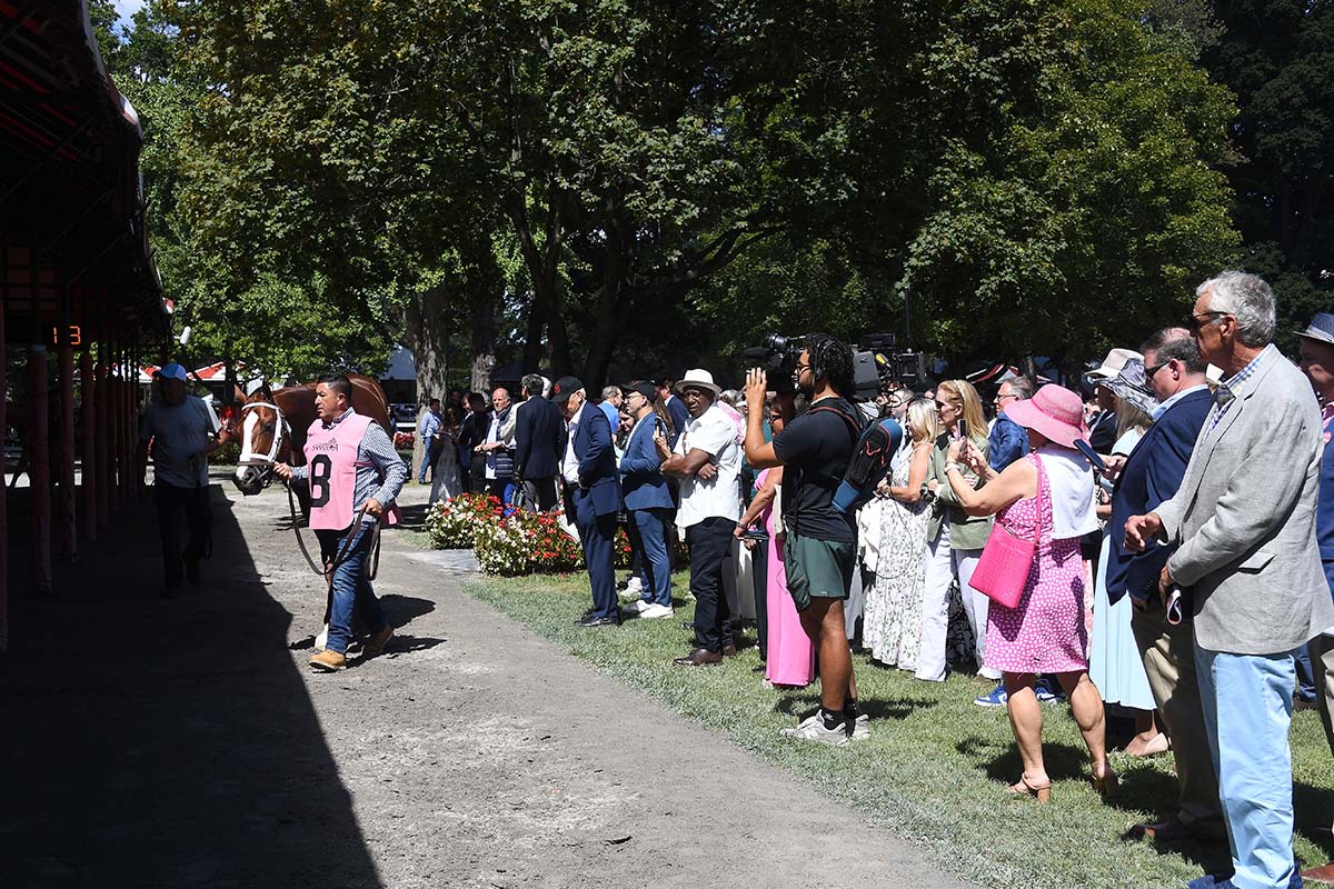Antiquarian (Preservationist - Lifetime Memory, by Istan), the 2022 Preservationist LLC Thoroughbred racing partnership through Centennial Farms, winner of the G1 Jockey Club Gold Cup at Saratoga, a Win And You're In Race for the Breeders' Cup Classic.