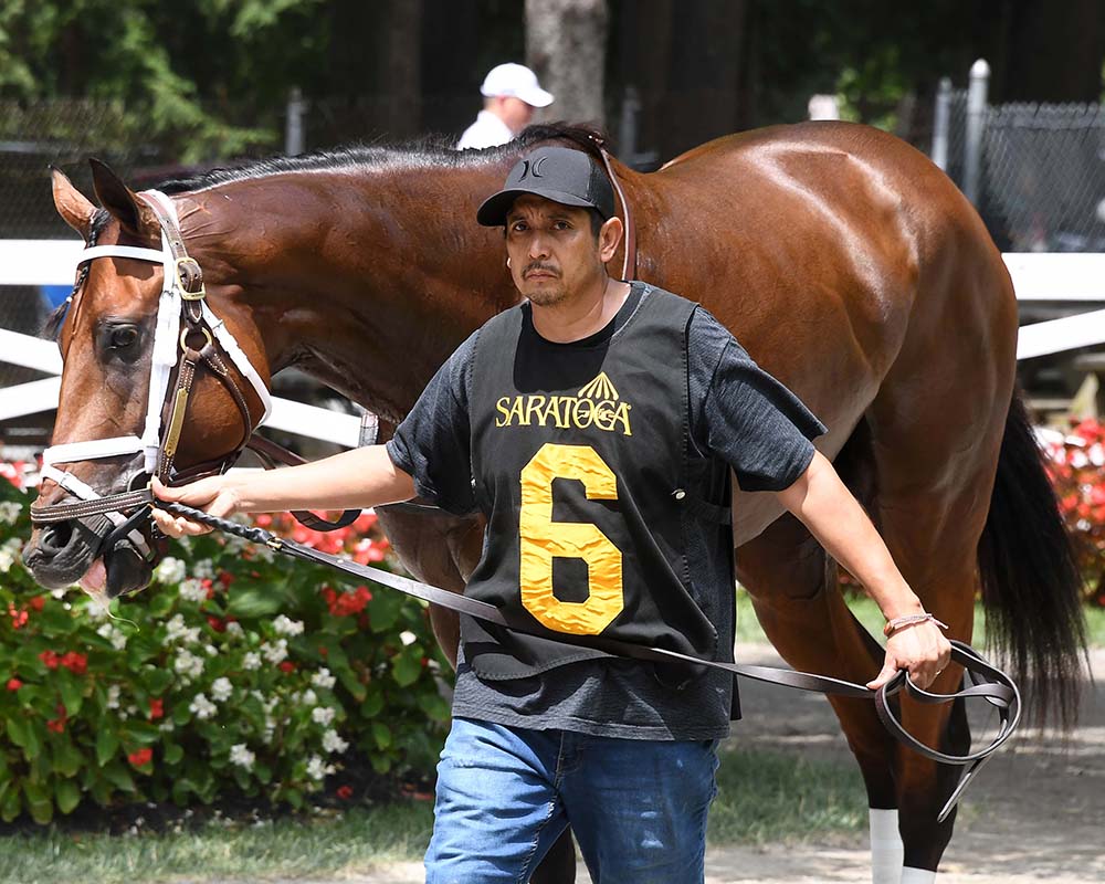 Makes Sense (Street Sense - Pure Poison, by Honor Code), the 2023 Madison, LLC Thoroughbred racing partnership, breaking his maiden at Saratoga.