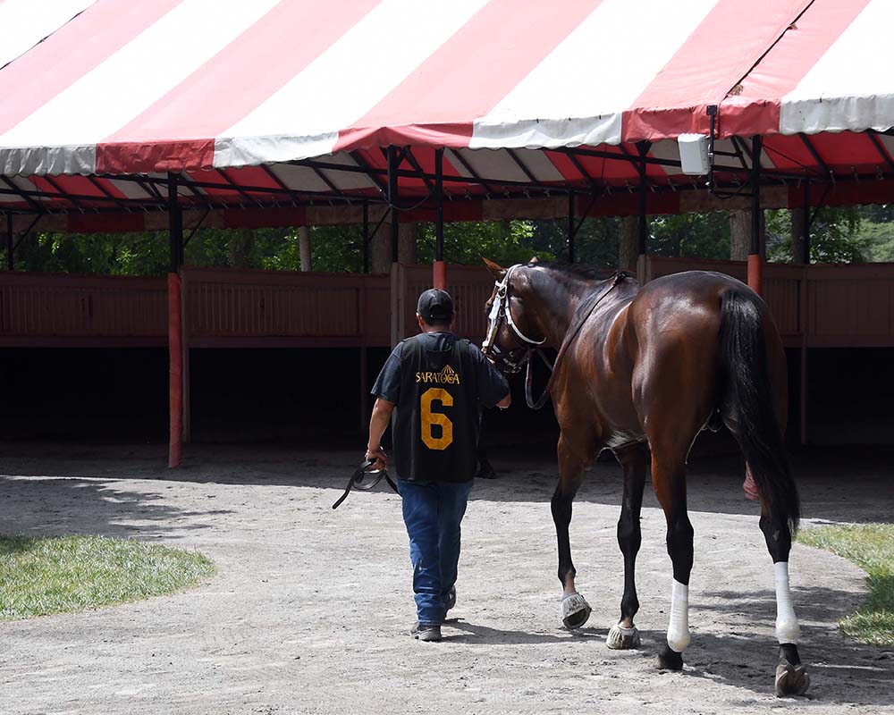 Makes Sense (Street Sense - Pure Poison, by Honor Code), the 2023 Madison, LLC Thoroughbred racing partnership, breaking his maiden at Saratoga.