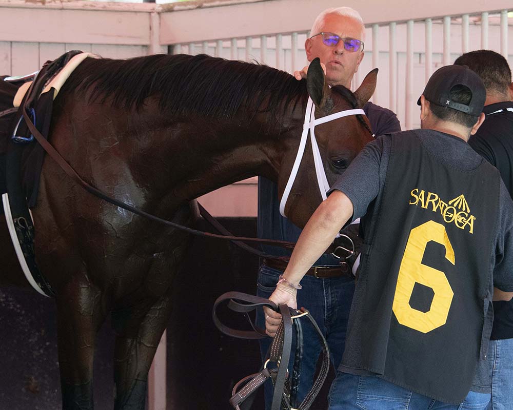 Makes Sense (Street Sense - Pure Poison, by Honor Code), the 2023 Madison, LLC Thoroughbred racing partnership, breaking his maiden at Saratoga.