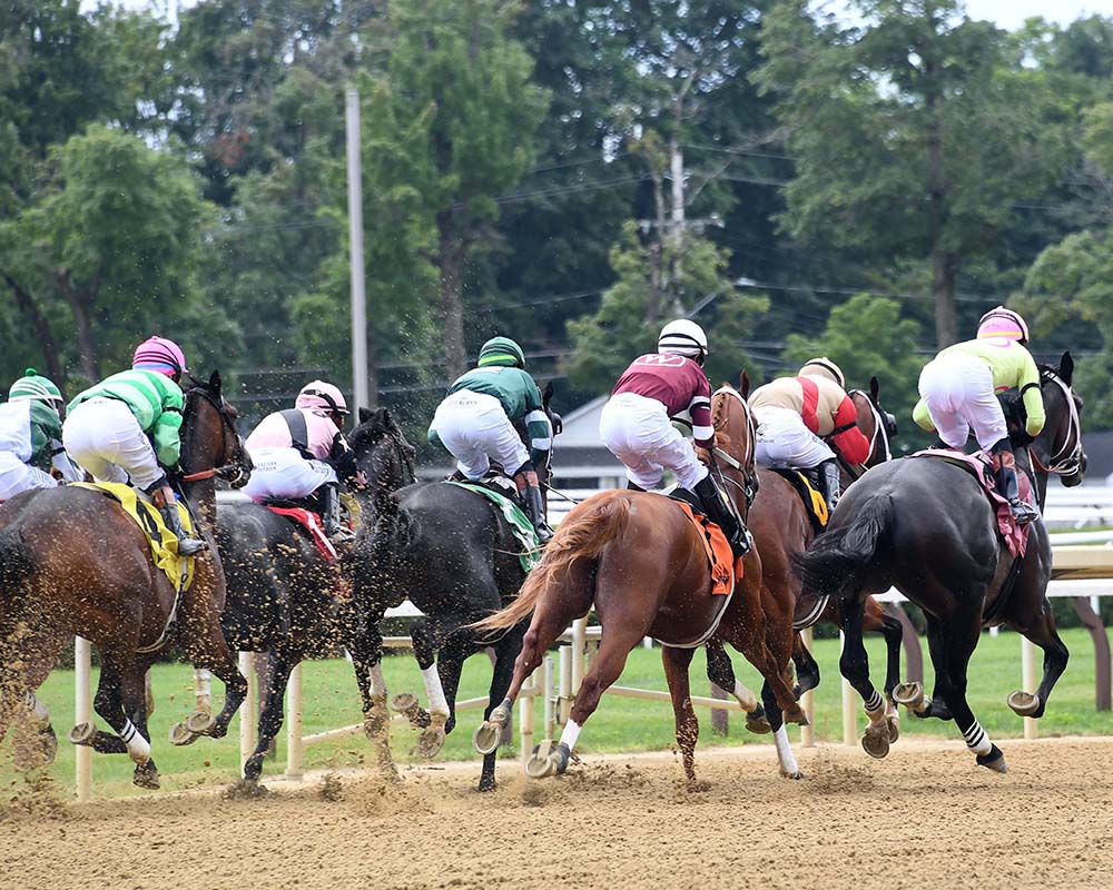 Makes Sense (Street Sense - Pure Poison, by Honor Code), the 2023 Madison, LLC Thoroughbred racing partnership, breaking his maiden at Saratoga.